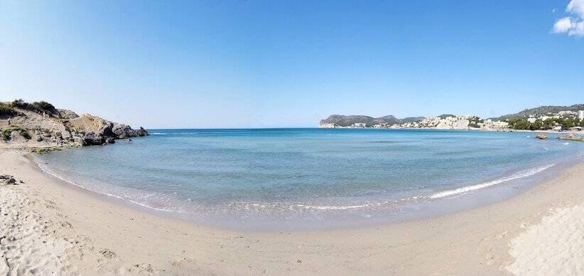 Bq Paguera Boutique Hotel   Adults Only