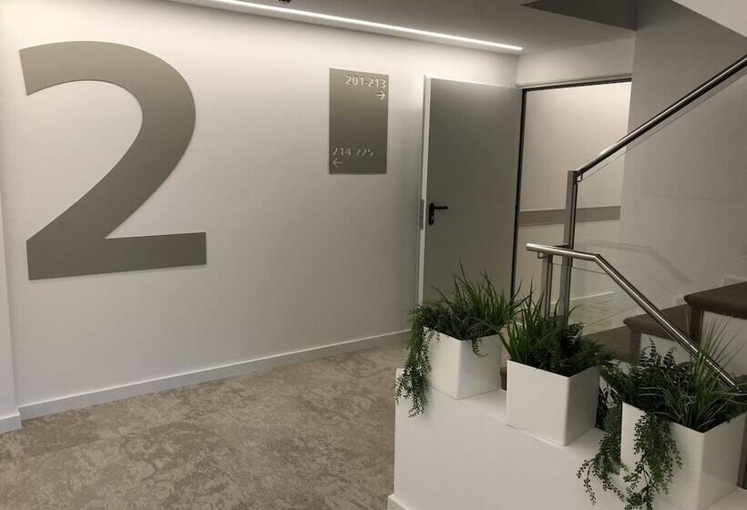 Bq Paguera Boutique Hotel   Adults Only