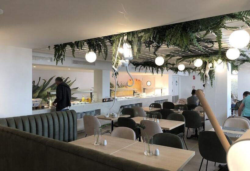 Bq Paguera Boutique Hotel   Adults Only