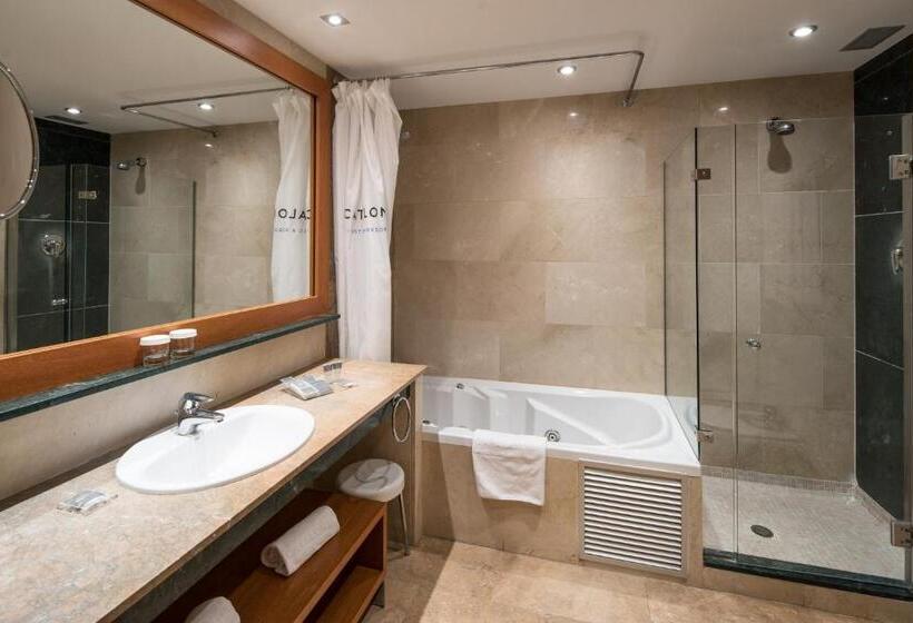 Отель Catalonia Barcelona 505