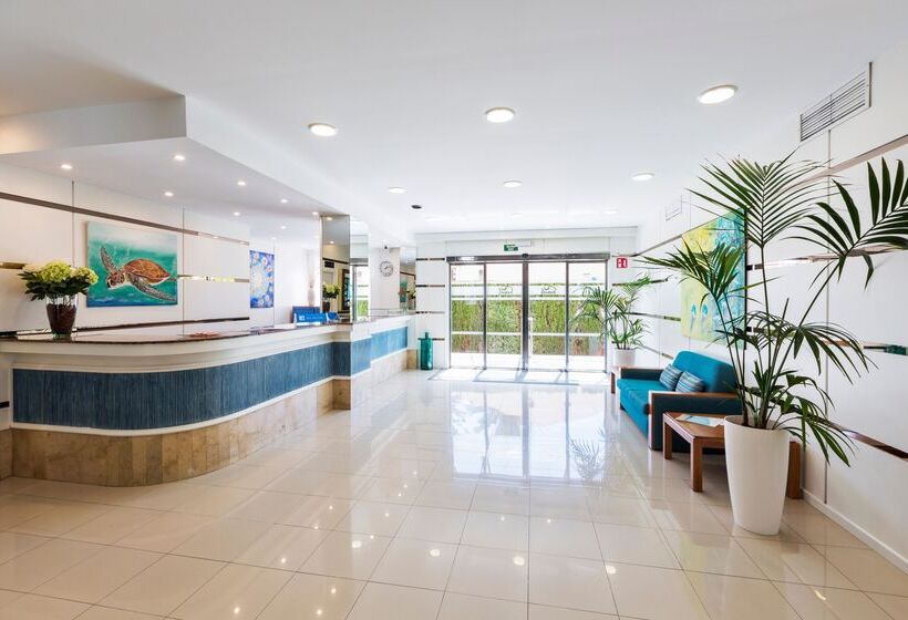 ホテル Don Miguel Playa