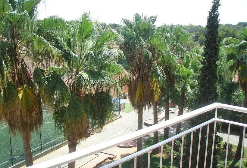 ホテル Don Miguel Playa