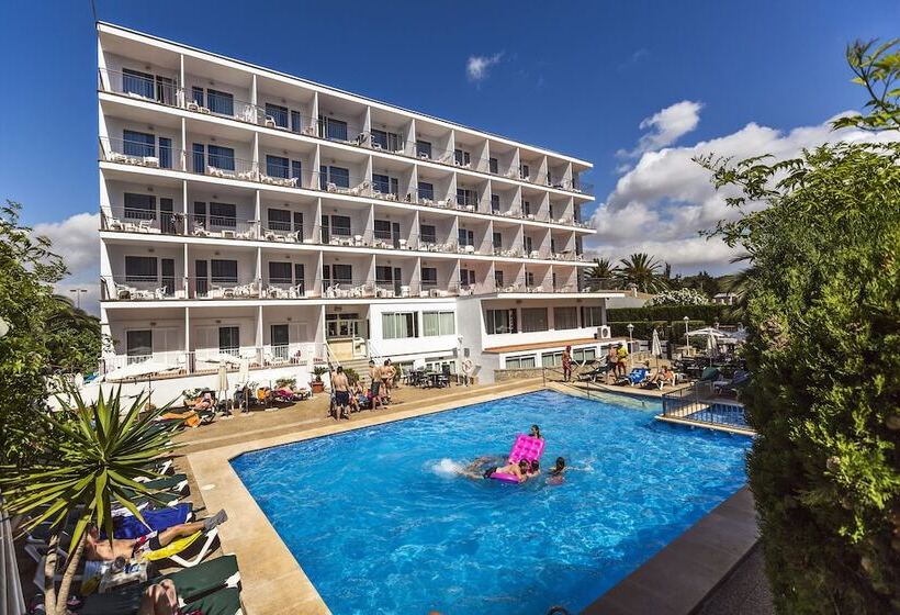 ホテル Don Miguel Playa