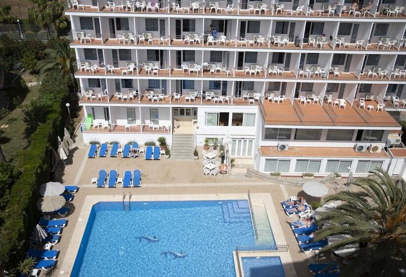 ホテル Don Miguel Playa