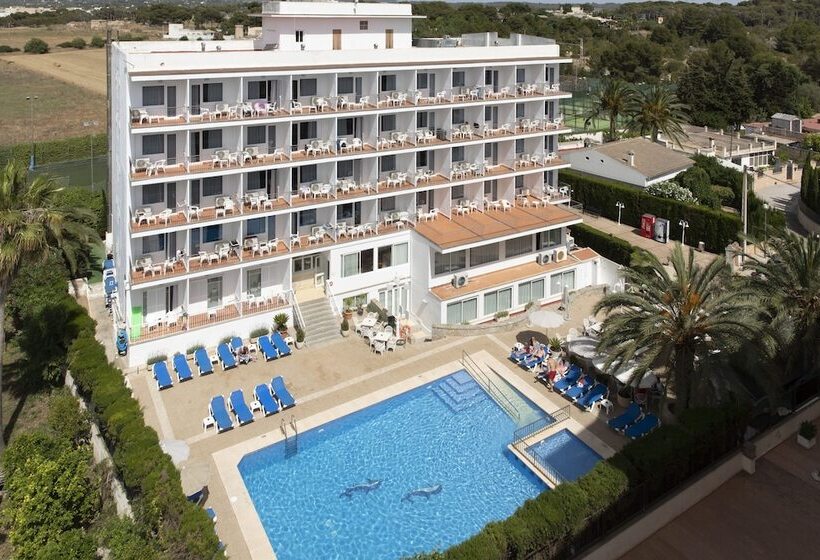 ホテル Don Miguel Playa