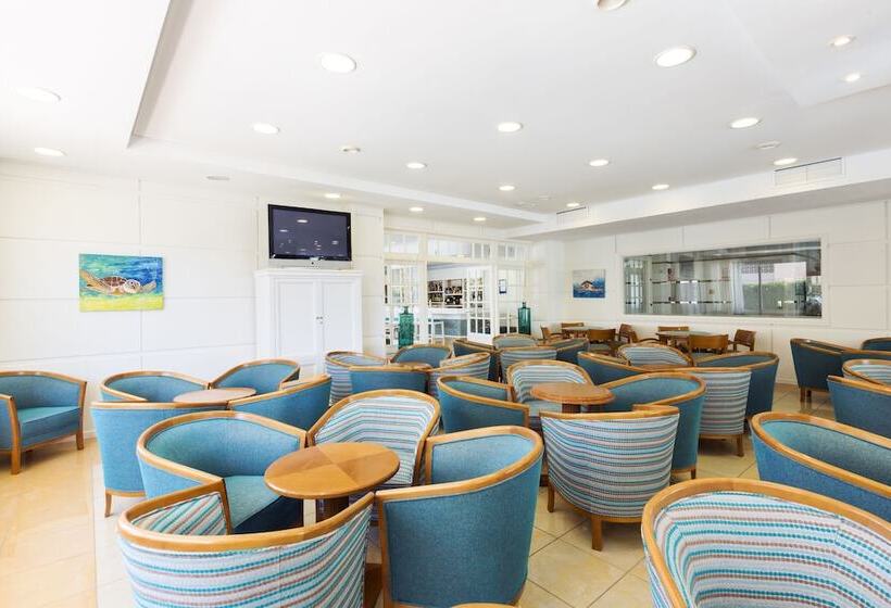 ホテル Don Miguel Playa