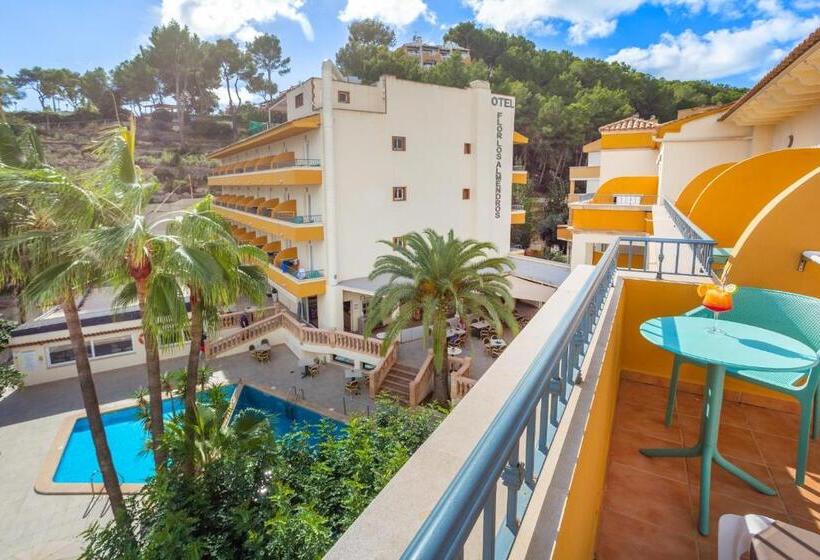 هتل Flor Los Almendros