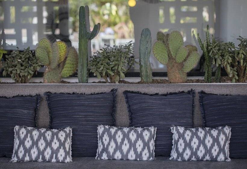 هتل Hm Balanguera Beach - Adults Only