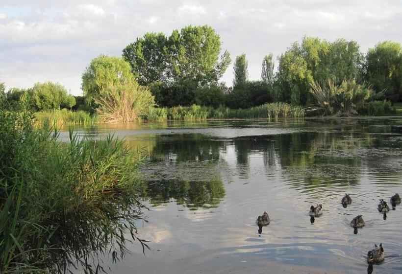 בית מלון כפרי Hugo Beach