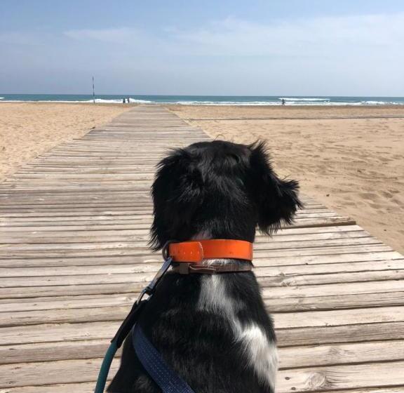 בית מלון כפרי Hugo Beach