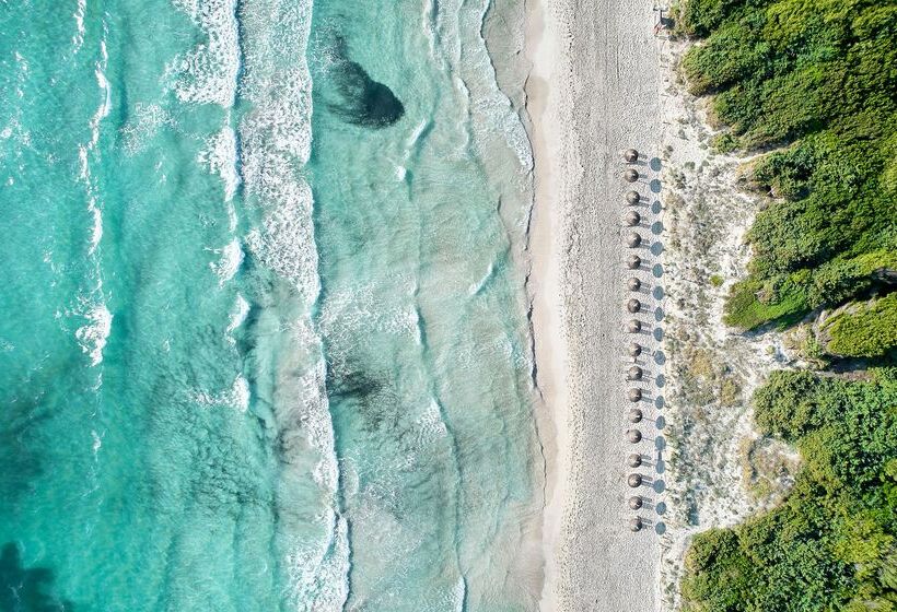 هتل Iberostar Selection Albufera Playa