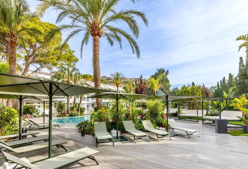 Hotel Illa D'Or 4* Sup & Club Apartments