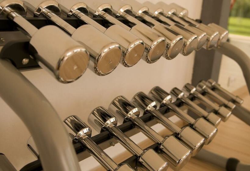 Las Gaviotas Suites Hotel & Spa