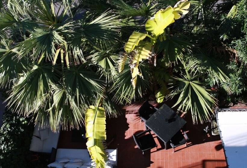 בית מלון כפרי Los Globos