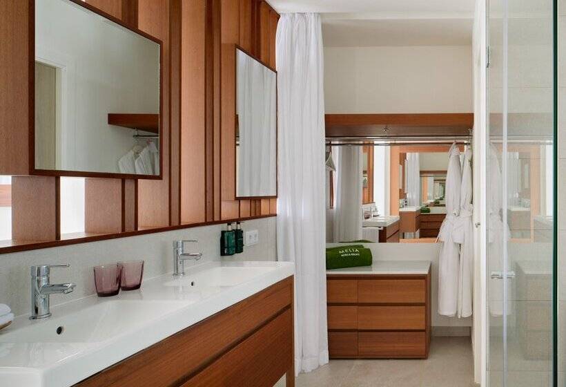 Отель Meliá Ibiza