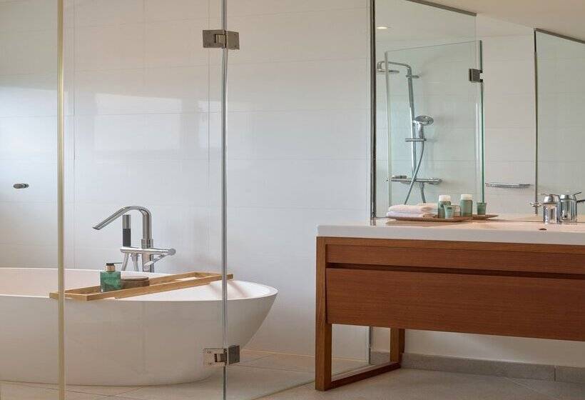 Отель Meliá Ibiza