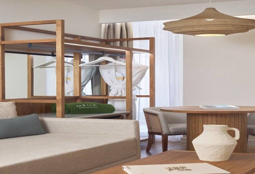 Отель Meliá Ibiza