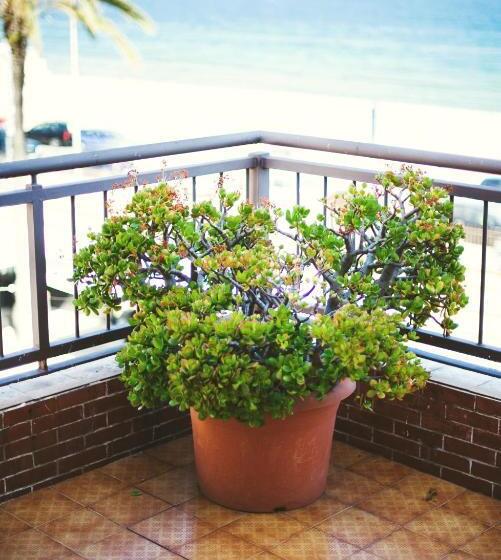 ホテル Miramar Badalona