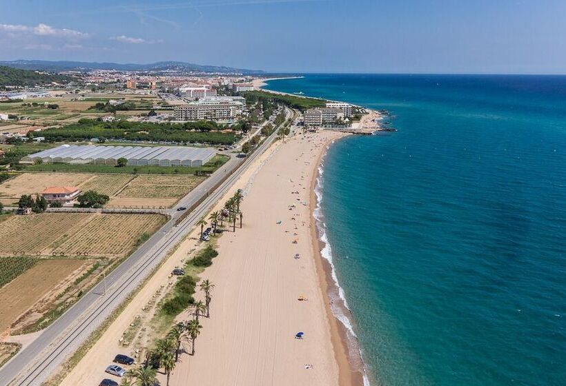 호텔 Montemar Maritim