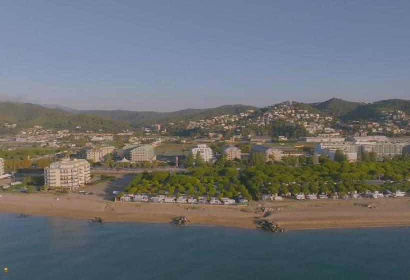 호텔 Montemar Maritim