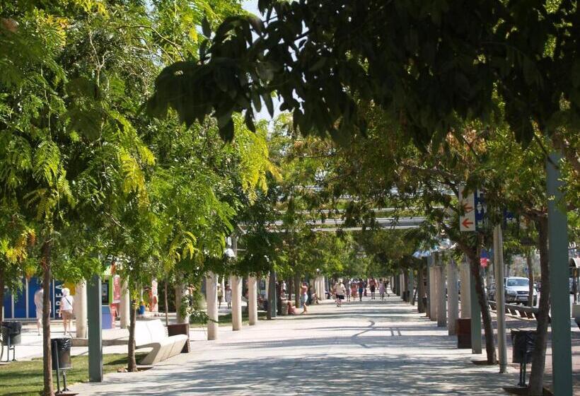 호텔 Montemar Maritim