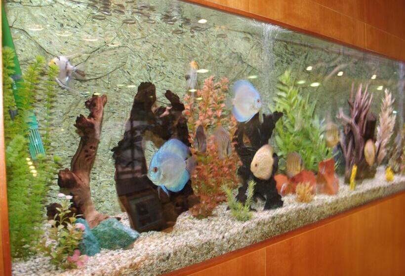 호텔 Montemar Maritim