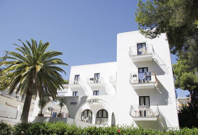 هتل Morlans Garden