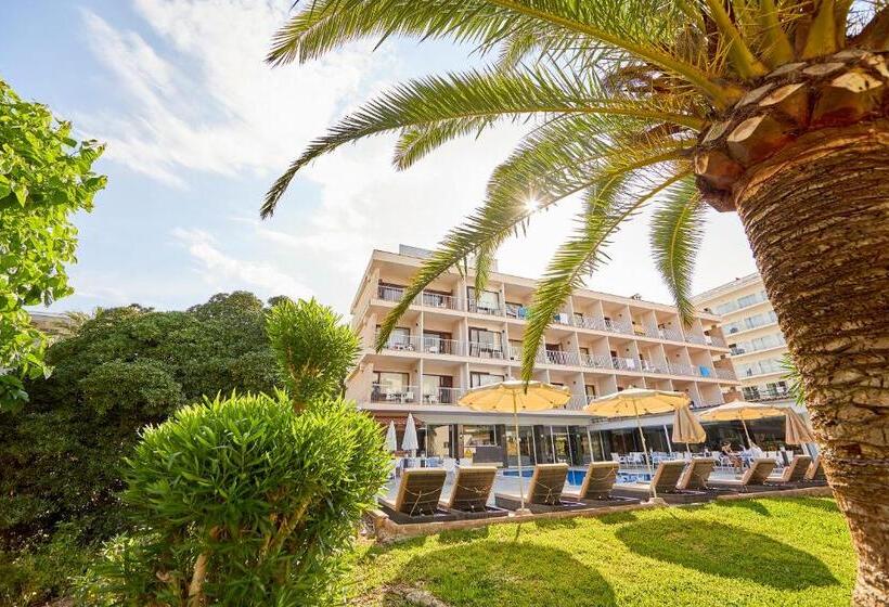 فندق Nura Condor