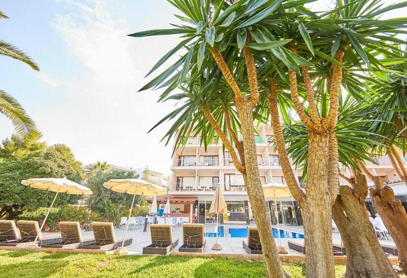 فندق Nura Condor