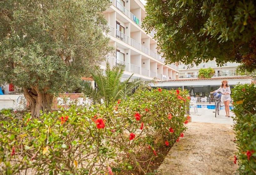 فندق Nura Condor