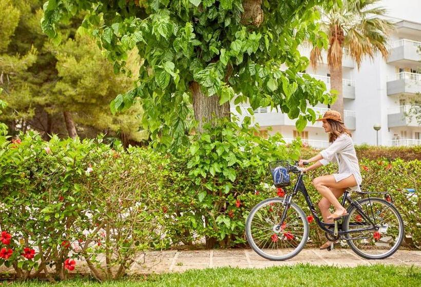 فندق Nura Condor