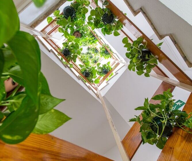 酒店 Olympia Ronda I