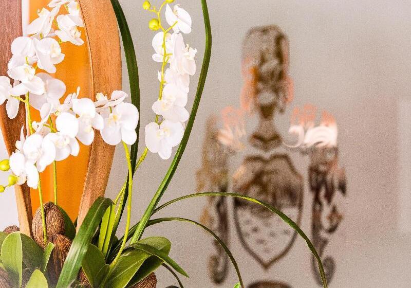 בית מלון כפרי Playas De Paguera