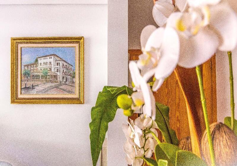 ホテル Playas De Paguera