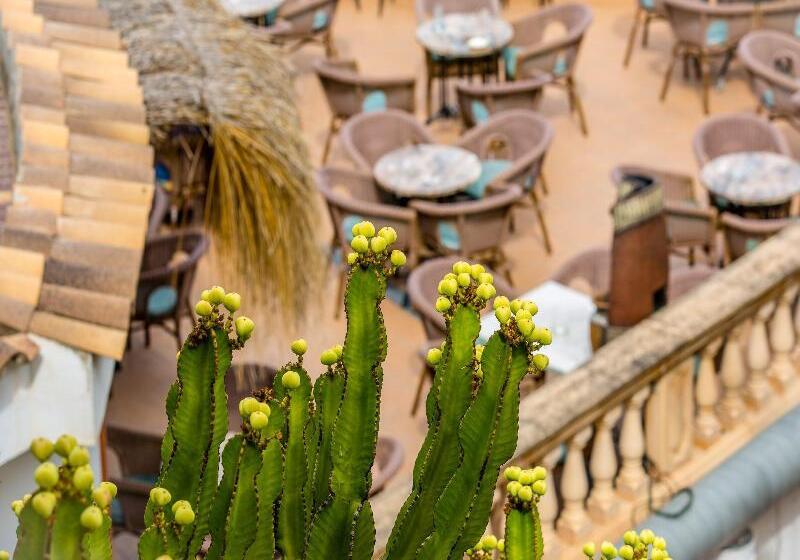 בית מלון כפרי Playas De Paguera