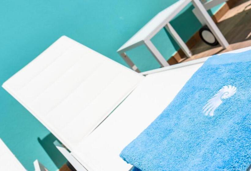 ホテル Plaza Santa Ponsa Boutique  Adults Only