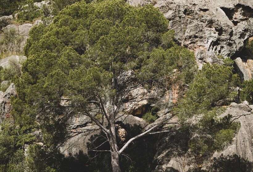 호텔 Pure Salt Port de Sóller - Adults Only