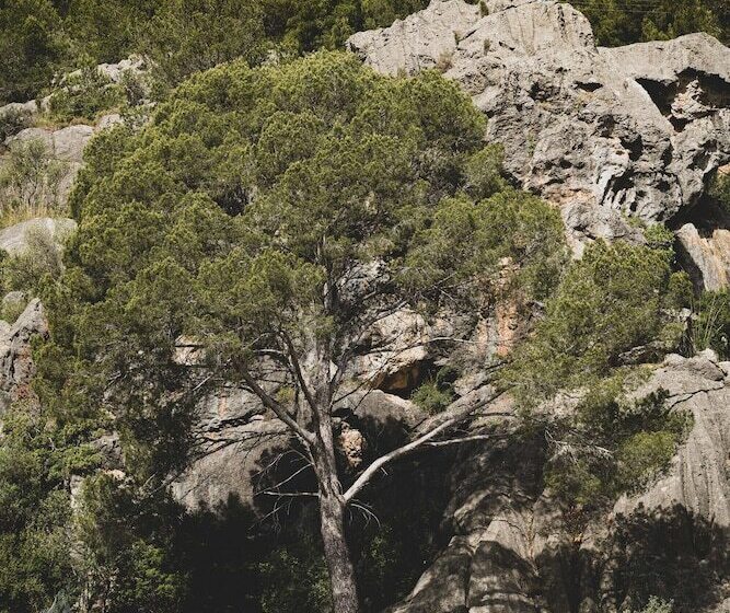 호텔 Pure Salt Port de Sóller - Adults Only