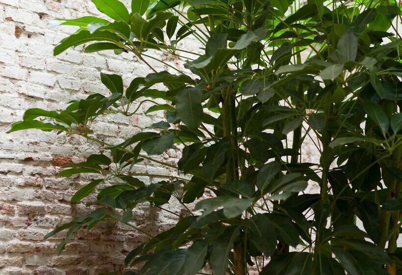 Отель Regina Barcelona