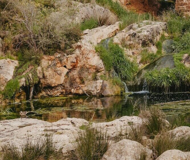 فندق Riomar, Ibiza, A Tribute Portfolio