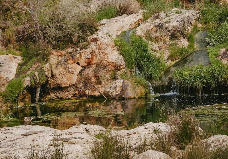 فندق Riomar, Ibiza, A Tribute Portfolio