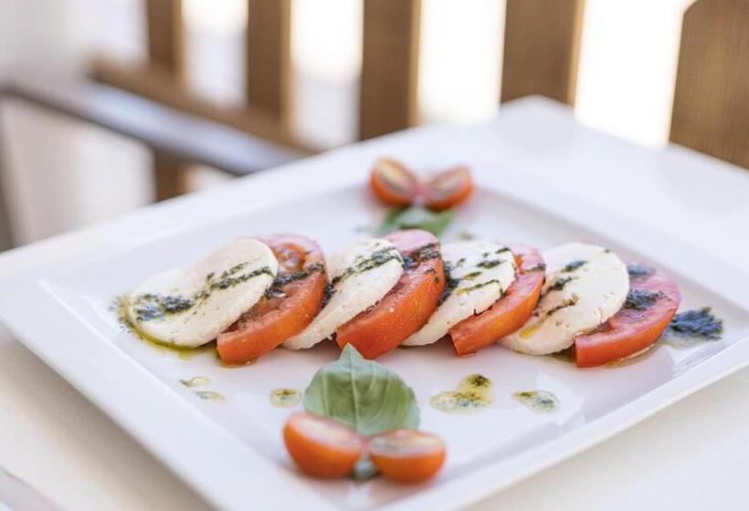 酒店 Seth Playa Azul