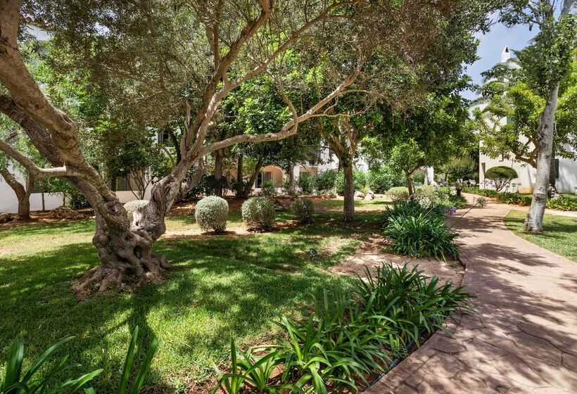 Отель Sol Falcó Menorca