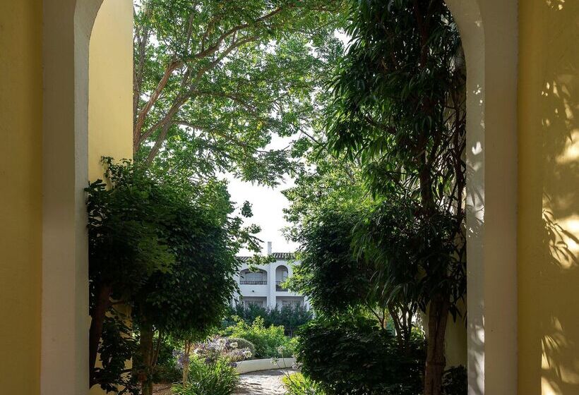 Отель Sol Falcó Menorca