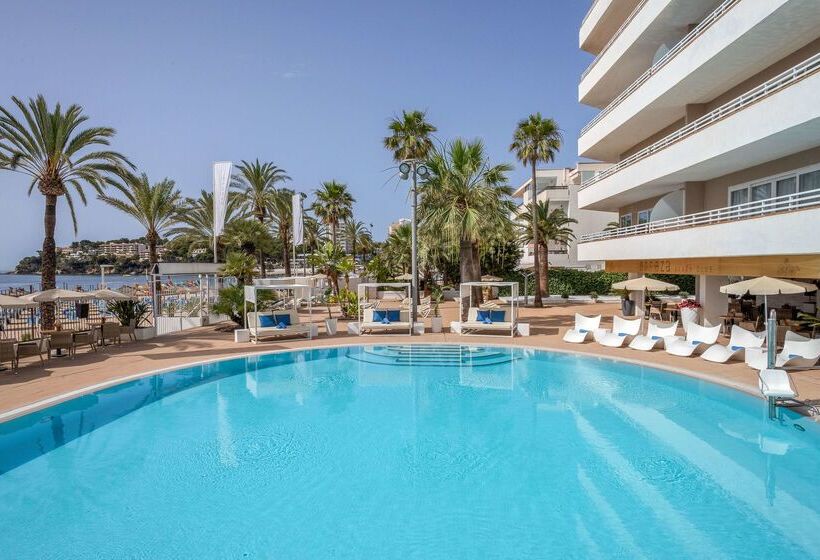 هتل Sol House The Studio   Calviá Beach   Adults Only