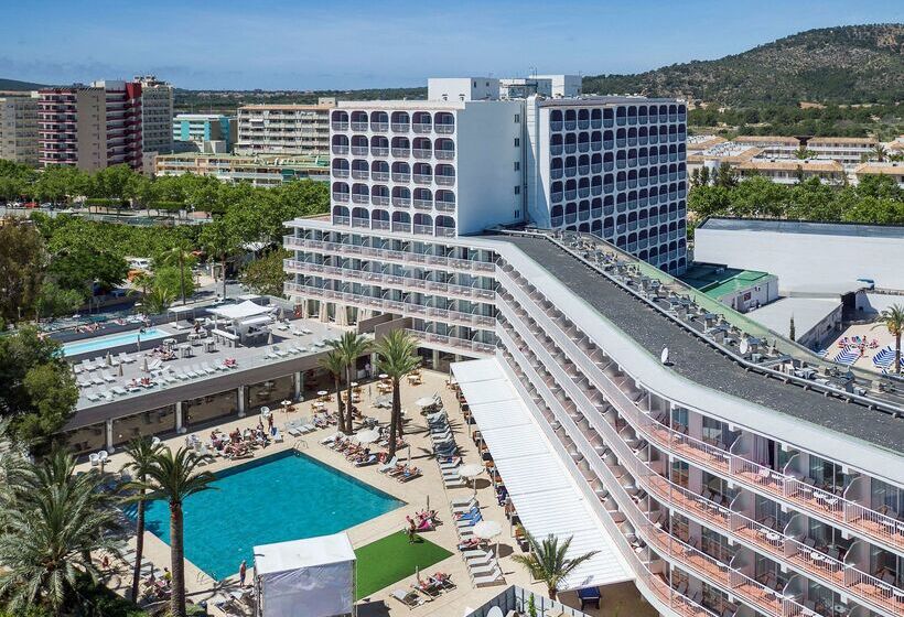 هتل Sol House The Studio   Calviá Beach   Adults Only