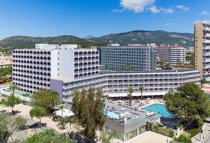 هتل Sol House The Studio   Calviá Beach   Adults Only