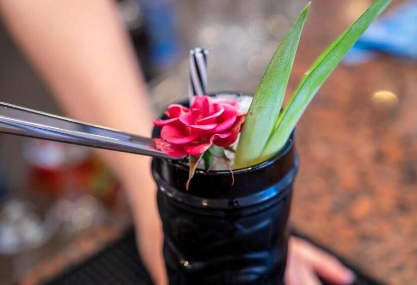 호텔 Sagitario Playa