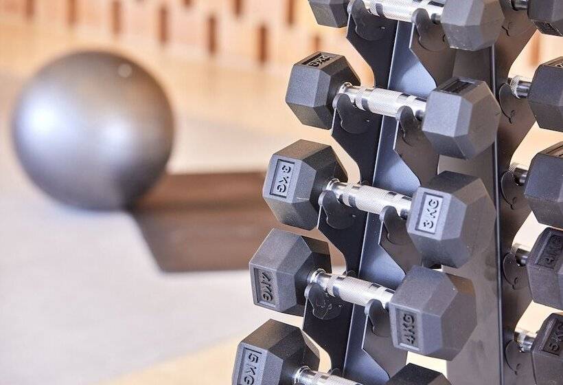 Отель tent Playa De Palma