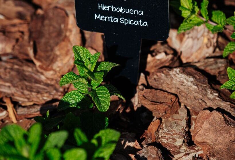 هتل Thb Maria Isabel  Adults Only